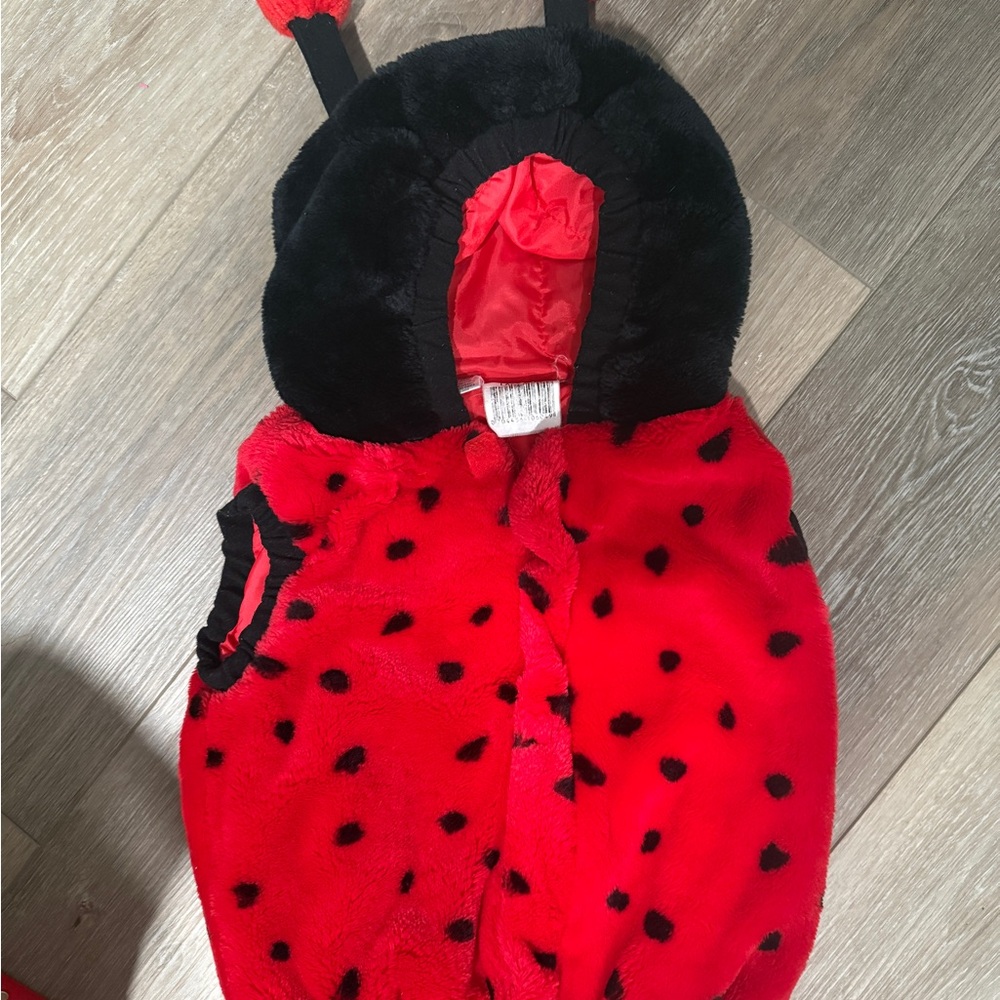 Red and Black Ladybug Costume